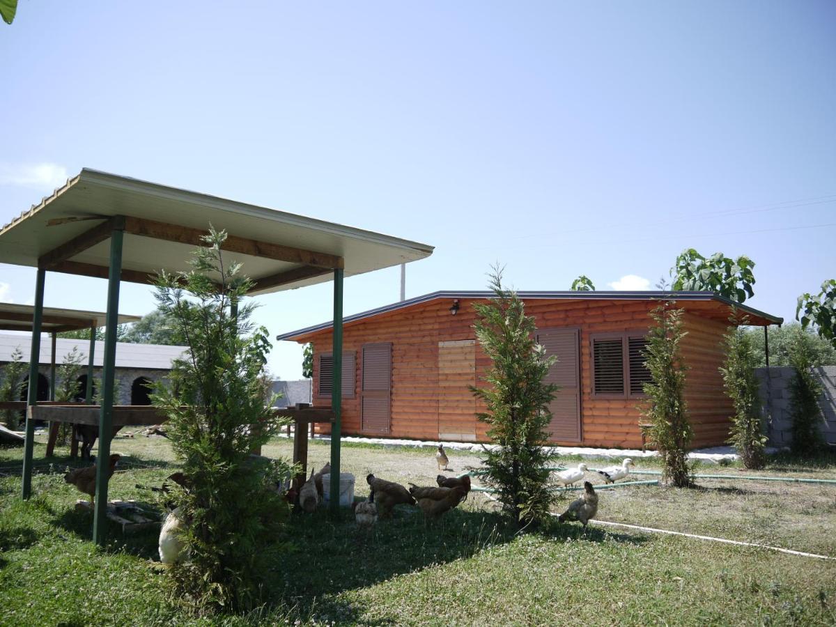 Windmill Shkodra Gesthouse Camping & Grill Kültér fotó