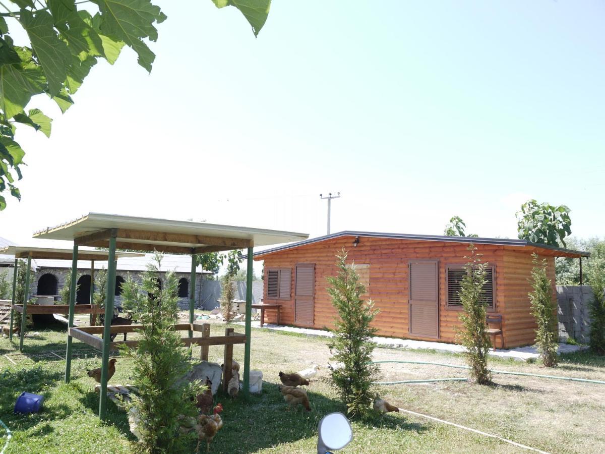 Windmill Shkodra Gesthouse Camping & Grill Kültér fotó
