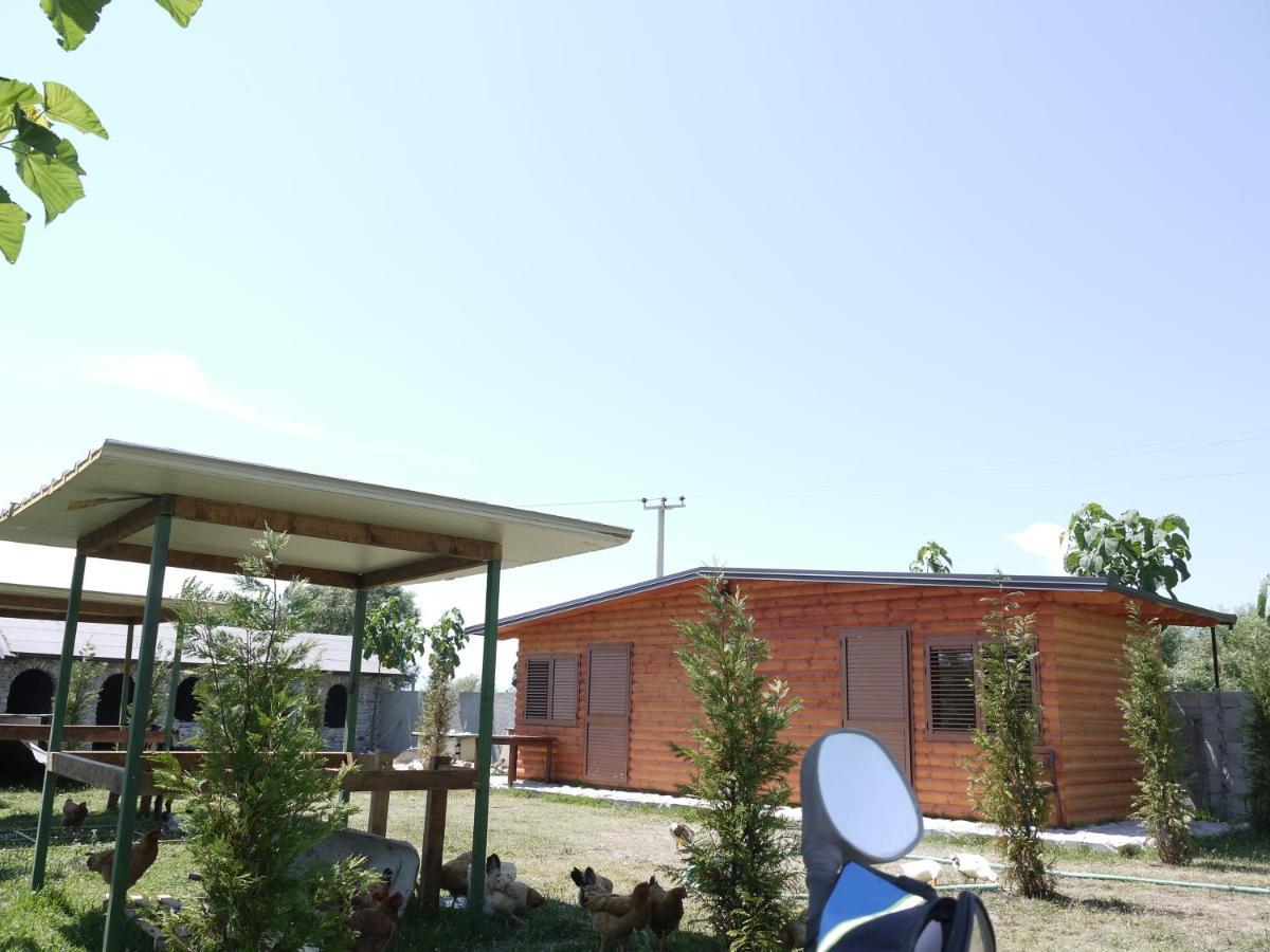 Windmill Shkodra Gesthouse Camping & Grill Kültér fotó