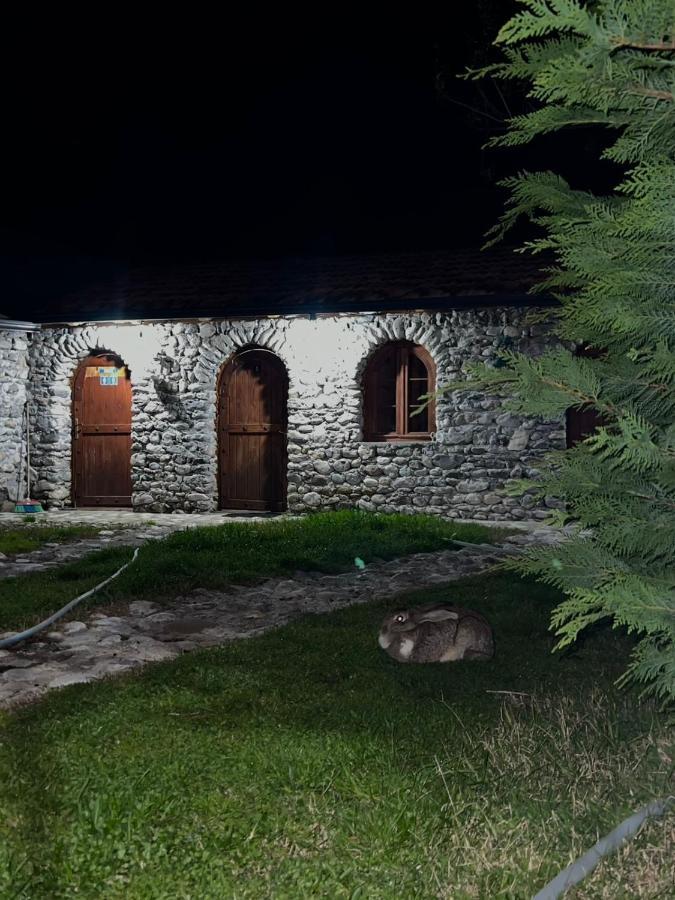Windmill Shkodra Gesthouse Camping & Grill Kültér fotó